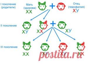 Как наследуется гемофилия и современные способы лечения заболевания