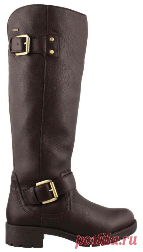 Amazon.com: Clarks Women's Reunite Hi GTX Winter Boot: Clothing