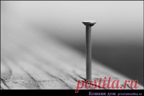Гвоздь для защиты жилища | Кошкин дом