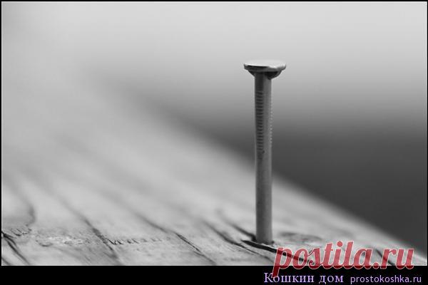 Гвоздь для защиты жилища | Кошкин дом