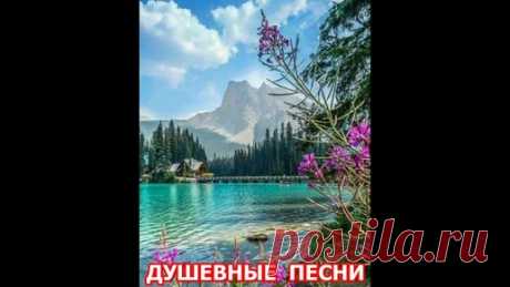 ДУШЕВНЫЕ ПЕСНИ | ГОТОВИТЬ ПРОСТО | Дзен