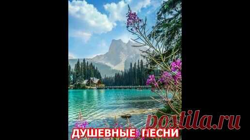 ДУШЕВНЫЕ ПЕСНИ | ГОТОВИТЬ ПРОСТО | Дзен