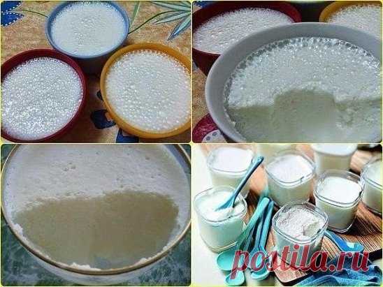 Молочный десерт для детей вместо мороженого
Молочный диетический десерт готовится быстро и просто, а получается настоящее лакомство для детей и взрослых. Это вкусное и, главное, натуральное, молочное суфле, которое можно подавать не только как десерт: очень вкусно добавлять пару ложечек такого суфле в чашку с кофе — получается почти кофе — гляссе.
Моя приятельница, у которой частенько болеют внуки, делает для них такое суфле и называет его «теплым мороженым» — да, да, не у...