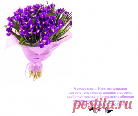 Бесплатные картинки,открытки и смайлы в подарок для Одноклассников!