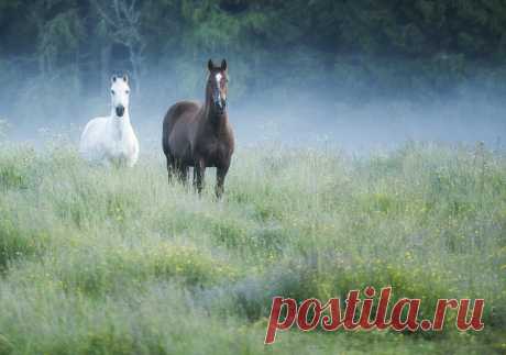✿*✿* ВЕРНИСАЖ *✿*✿
░☂░ Екатерина ☀