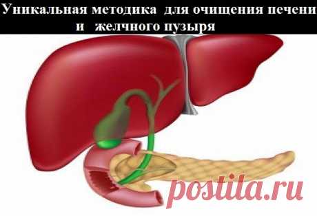 : Большинство заболеваний печени и желчного пузыря можно вылечить очищением.