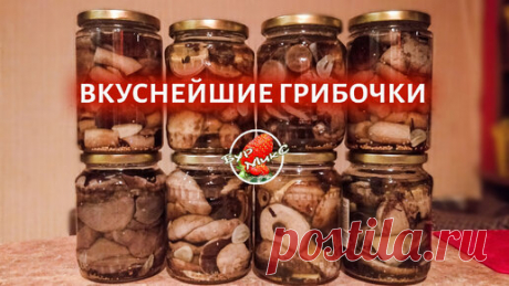 Маринованные грибы на зиму без уксуса | БурМикС - Канал со вкусом! | Дзен