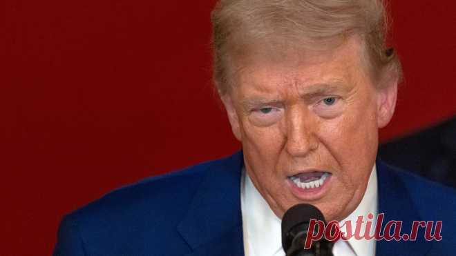 Spectator: Трамп хочет облегчить победу РФ в спецоперации | VestiNewsRF.Ru
