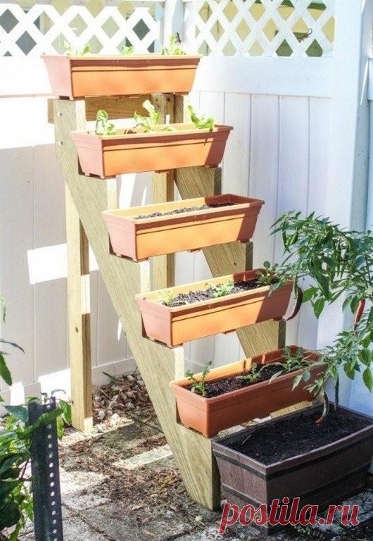 Лови крутую идею для дачи