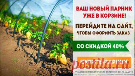Мой Мир@Mail.Ru