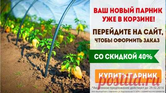 Мой Мир@Mail.Ru