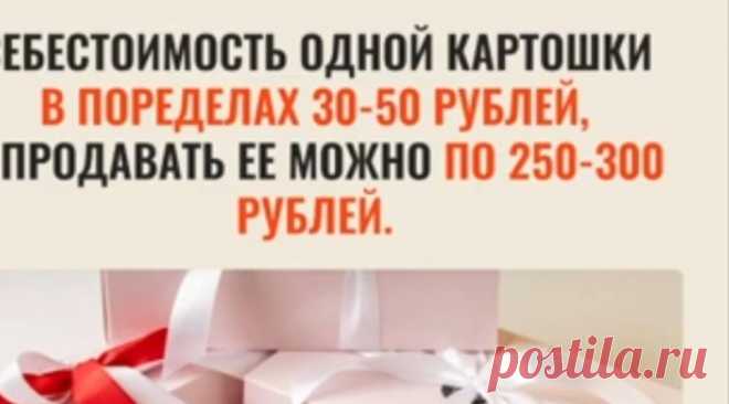 Скриншот от 12.11.2025, 19:45