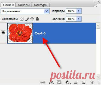 Удаление фона в фотошопе с помощью волшебного ластика.