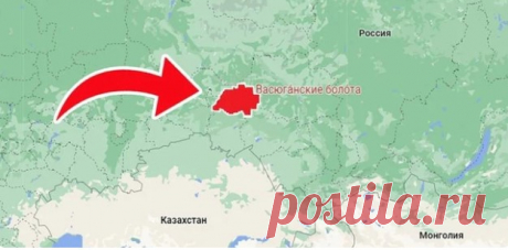 Васюганские болота — это обширная территория, расположенная на территории Томской области и Ханты-Мансийского автономного округа в России. 
Площадь болот более 53 тысяч квадратных километров. Их размеры настолько впечатляющие, что город Москва мог бы разместиться на территории Васюганских болот 50 раз.
