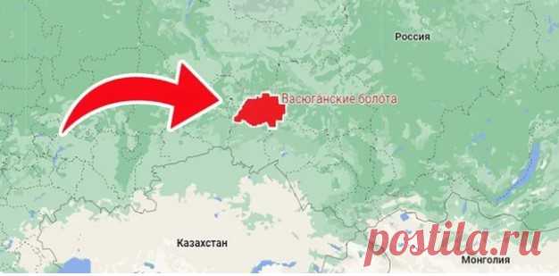 Васюганские болота — это обширная территория, расположенная на территории Томской области и Ханты-Мансийского автономного округа в России. 
Площадь болот более 53 тысяч квадратных километров. Их размеры настолько впечатляющие, что город Москва мог бы разместиться на территории Васюганских болот 50 раз.