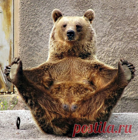 Мой Мир@Mail.Ru