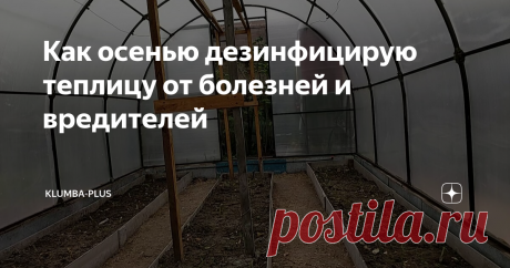 Как осенью дезинфицирую теплицу от болезней и вредителей