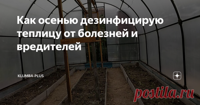 Как осенью дезинфицирую теплицу от болезней и вредителей