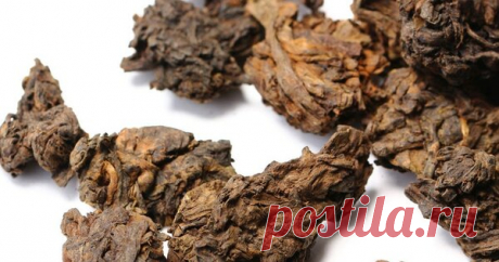 ТОП-5 Пуэров | Подари чай | Яндекс Дзен