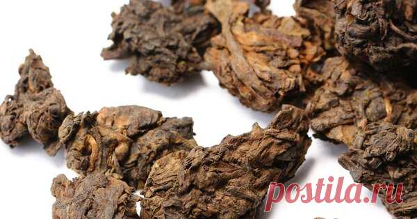 ТОП-5 Пуэров | Подари чай | Яндекс Дзен