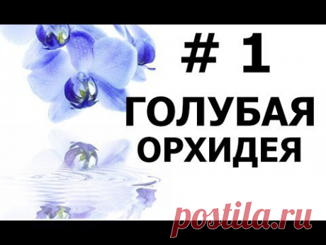 Бисероплетение (Голубая Орхидея 1 ч.) Мастер-класс