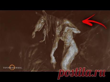 12 ЭКСТРЕМАЛЬНЫХ УЖАСОВ и паранормальных видео, снятых на камеру /Часть 7 / Призраки и существа 2024