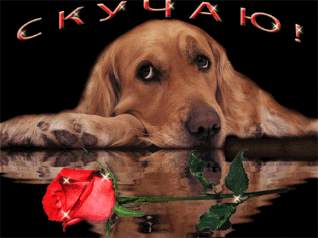 Архив открыток отправленных 3 Апреля 2016 года. Добавили: U U, Марина Соколова, Ярослав Баган, Света Немеш, Анжела S, Таня Хмелёва, Олег Анатольевич Юнё, Светлана М