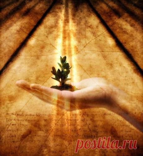 5. Делайте ошибки

Человек, который никогда не ошибался, как правило никогда ничего нового не пробовал. Никогда не бойтесь совершить ошибку. Ошибка не провал. Ошибки могут принести огромную пользу, сделать вас лучше и мудрее, если конечно грамотно на них учиться. Поэтому позволяйте себе совершать ошибки.