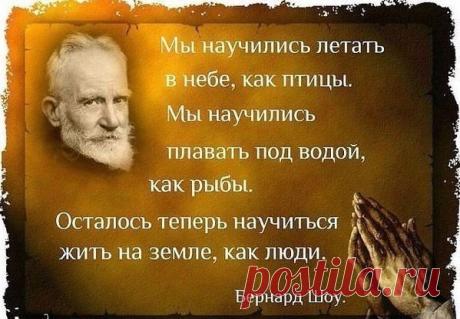 Вежливые Люди (@vegchelovek) | Твиттер