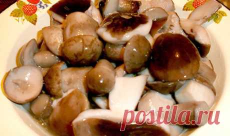 МАРИНАД ДЛЯ ГРИБОВ (Опят, маслят, белых и т. д. ) 

1 литр воды; 
2 ст. л. сахара; 
4 ч. л. соли; 
3 шт. лаврового листа; 
6 горошин душистого перца; 
4 шт. гвоздики; 
3 кусочка корицы (молотой ½ ч. л.) ; 
3 ч. л. уксусной эссенции 70 %. 

При использовании столового 5% уксуса необходимо взять 800 мл воды и 200 мл 5% уксуса. При использовании 9% уксуса - 890 мл воды и 110 мл 9% уксуса. 

ПРИГОТОВЛЕНИЕ: 
Вскипятить воду, добавить специи, проварить минутки три (уксус добавит...