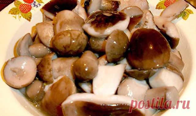 МАРИНАД ДЛЯ ГРИБОВ (Опят, маслят, белых и т. д. ) 

1 литр воды; 
2 ст. л. сахара; 
4 ч. л. соли; 
3 шт. лаврового листа; 
6 горошин душистого перца; 
4 шт. гвоздики; 
3 кусочка корицы (молотой ½ ч. л.) ; 
3 ч. л. уксусной эссенции 70 %. 

При использовании столового 5% уксуса необходимо взять 800 мл воды и 200 мл 5% уксуса. При использовании 9% уксуса - 890 мл воды и 110 мл 9% уксуса. 

ПРИГОТОВЛЕНИЕ: 
Вскипятить воду, добавить специи, проварить минутки три (уксус добавит...