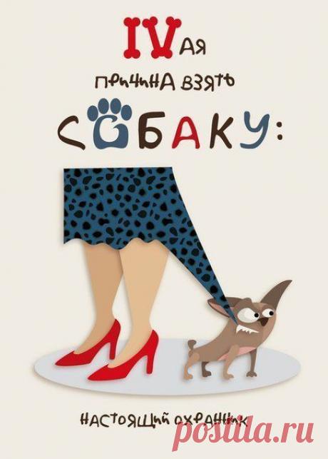 Семь причин завести собаку