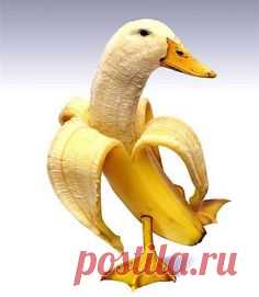 9c8f3826384d09ac46e5426f656b800f.jpg (Изображение JPEG, 236 × 271 пикселов)