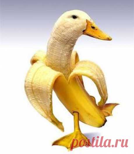 9c8f3826384d09ac46e5426f656b800f.jpg (Изображение JPEG, 236 × 271 пикселов)
