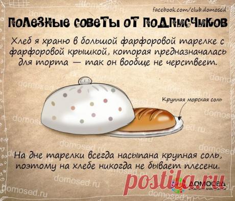 Людмила Рациборинская поделилась фотографией ЖЖ... - Людмила Рациборинская