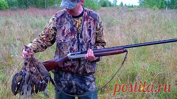 В поле с классической двустволкой / Богатая добыча