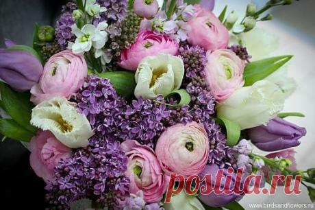 Сирень не в мае, а  к 8 марта | Блог Светланы Алликас