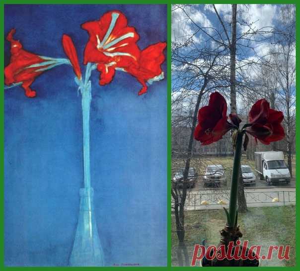 #ИЗОизоляция #коронавирус #СПб #Эрмитаж #Петербург #Питер Пит Мондриан – Амариллис, 1910