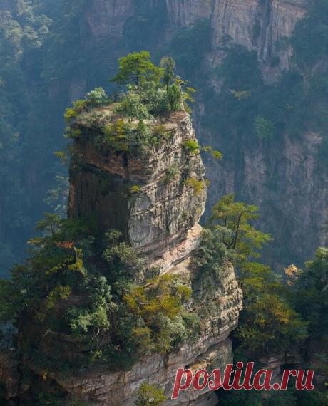 Аватар!Чжанцзяцзе.Хунань.Китай — Яндекс.Диск