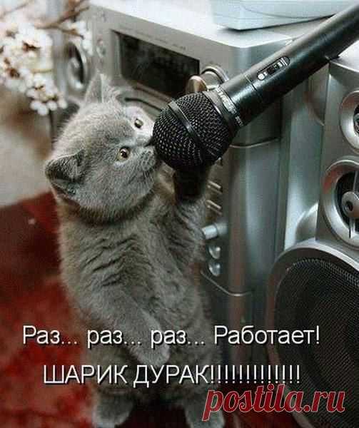 Диалоги На работе!