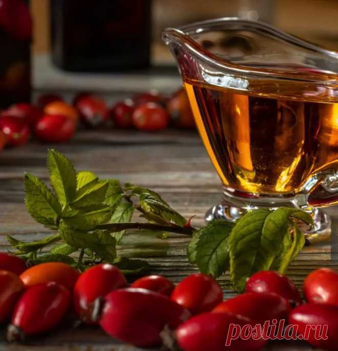 Напиток из шиповника Рецепт - Журнал полезных советов