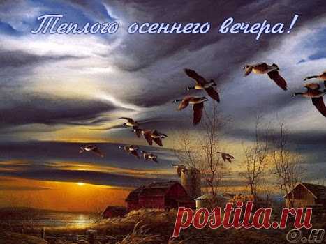 Цитата