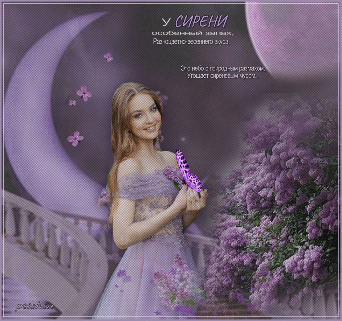 У сирени особенный запах... ~ Плейкасты ~ Beesona.Ru