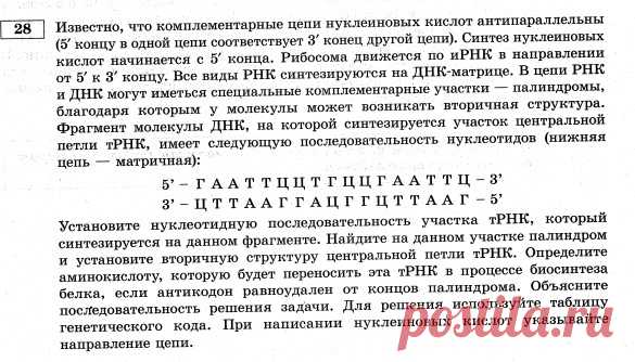 Вышел новый сборник вариантов Рохлова, и он подбросил нам ещё один сюрприз - новую разновидность задач на синтез белка (линия 28)

Появились понятия 