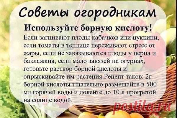 Пoлeзный coвeт