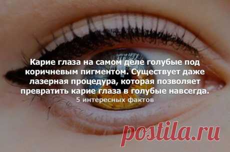 (70) Одноклассники