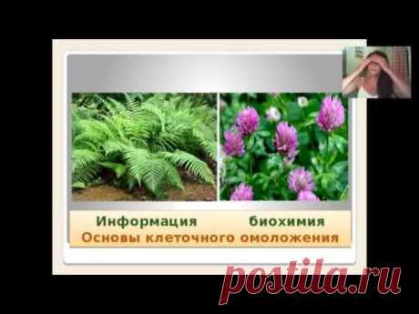 Ольга Левонюк  10 августа