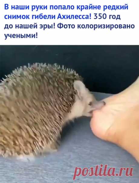 Интересные Факты