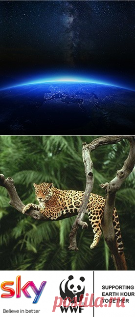 Join Sky and WWF to celebrate Earth Hour, 19th March, 8:30pm