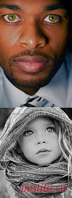 portrait | Windows to the Soul